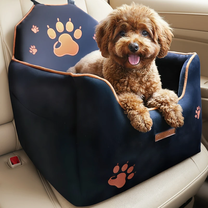 Dog looking out of a car window, safely restrained