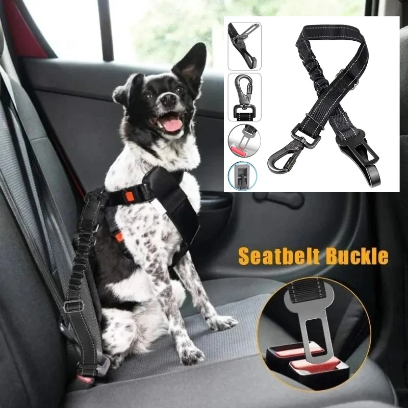Safety Harnesses & Seat Belts