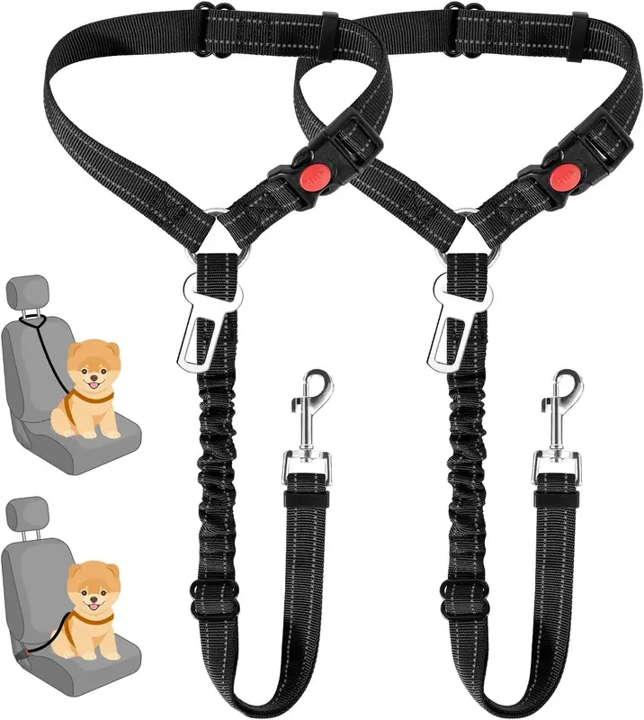 2-in-1 Seat-Belt Tether & Walking Leash